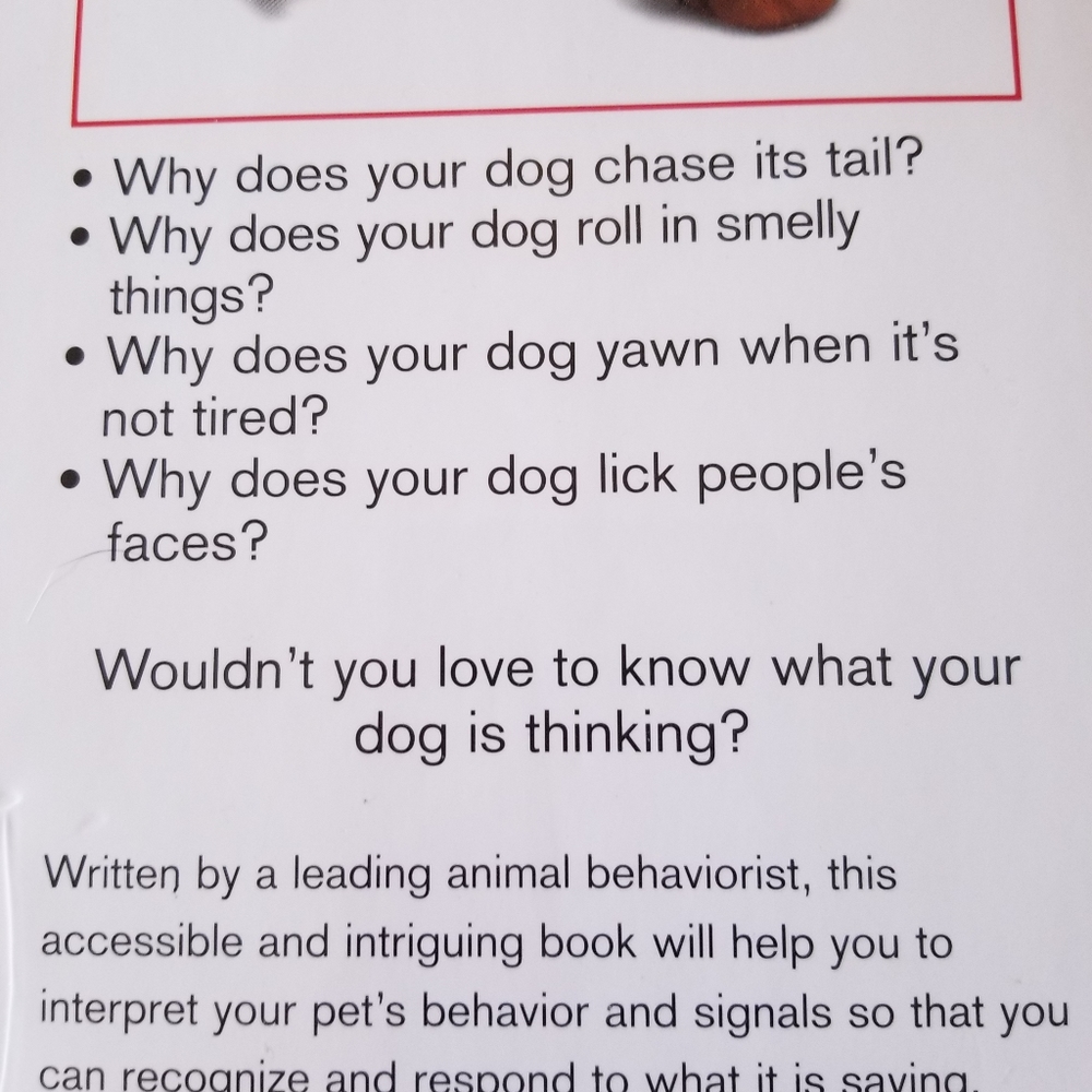 Dog Book - Picture 3 of 14
